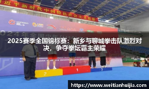 2025赛季全国锦标赛：新乡与聊城拳击队激烈对决，争夺拳坛霸主荣耀